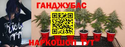 марихуана Кимры