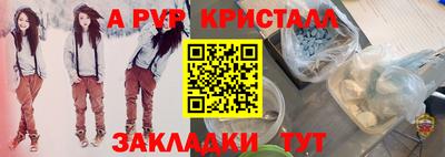 PSILOCYBIN Кингисепп