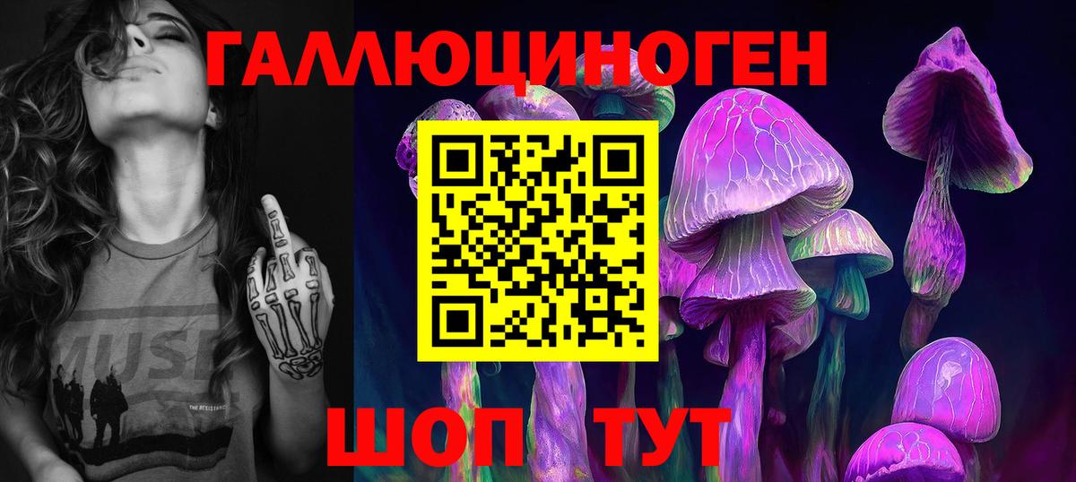 Кириши  Галлюциногенные грибы Magic Shrooms  Вход с VPN 