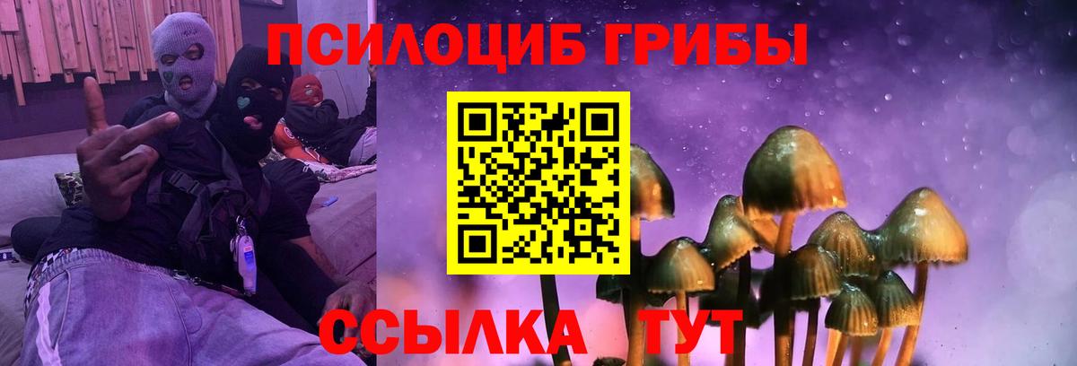 Галлюциногенные грибы Magic Shrooms Кириши